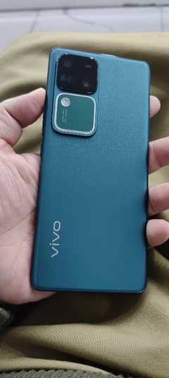 VivO