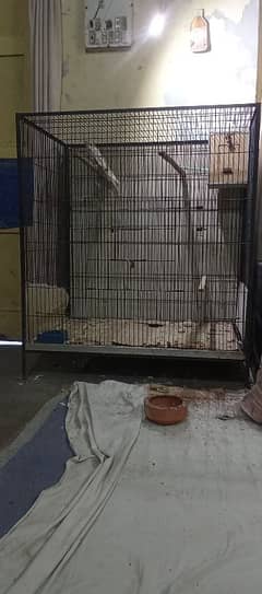 cage for sale bird b mil gy