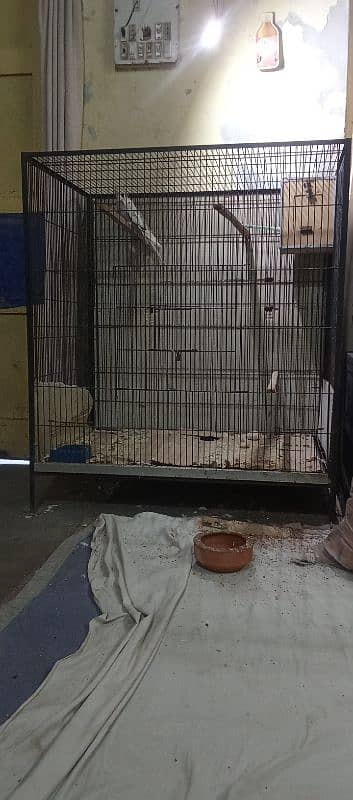 cage for sale bird b mil gy 0