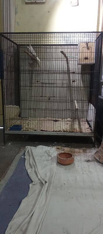 cage for sale bird b mil gy 1