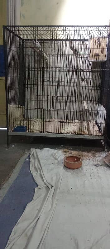 cage for sale bird b mil gy 2