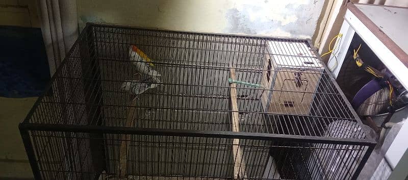 cage for sale bird b mil gy 4