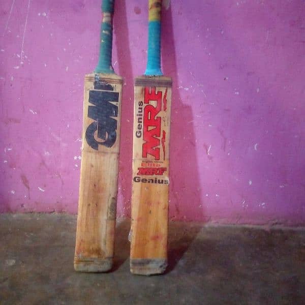 Hard ball bat ( English willow) 1