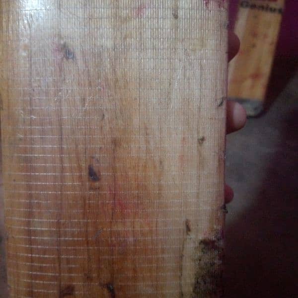 Hard ball bat ( English willow) 3