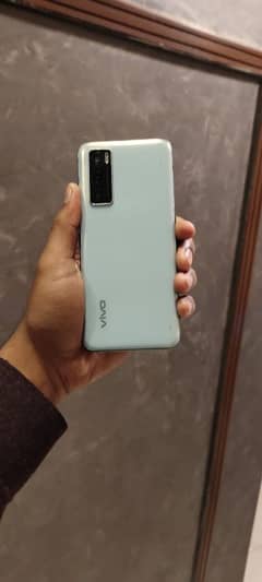 vivo