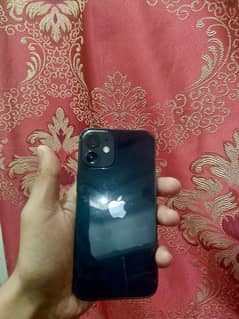 i phone 12 mini