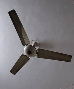 Royal ceiling fan used