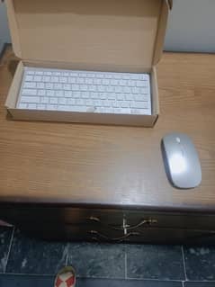 elegant wireless mouse and keyboard/apple/Mac/laptop