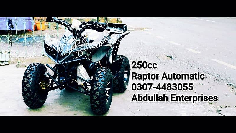 10 no raptor 250cc quad bike atv 4 wheel with self and kick for sale 1