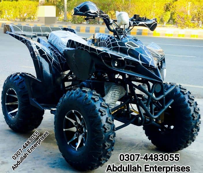 10 no raptor 250cc quad bike atv 4 wheel with self and kick for sale 2