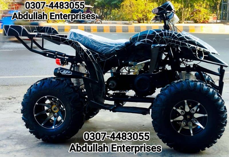 10 no raptor 250cc quad bike atv 4 wheel with self and kick for sale 3