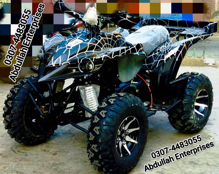 10 no raptor 250cc quad bike atv 4 wheel with self and kick for sale 5