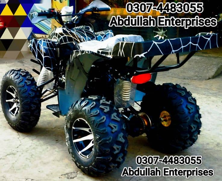 10 no raptor 250cc quad bike atv 4 wheel with self and kick for sale 6