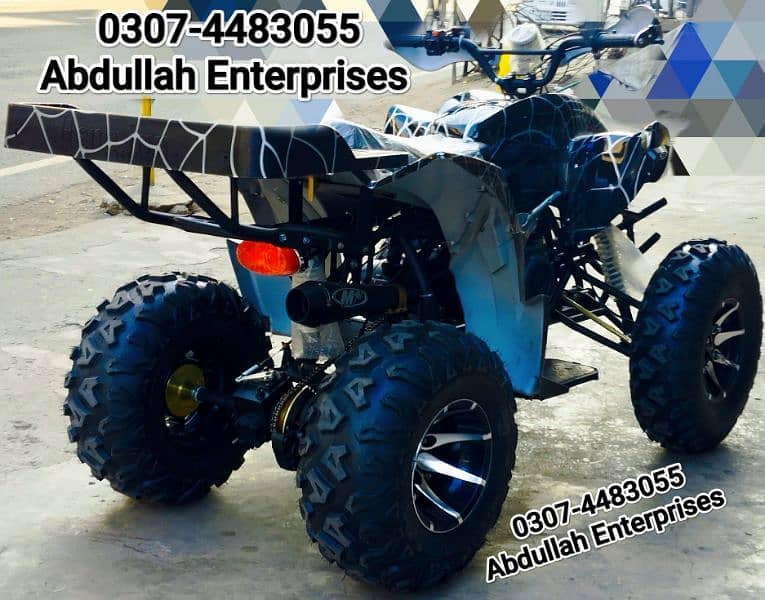 10 no raptor 250cc quad bike atv 4 wheel with self and kick for sale 8