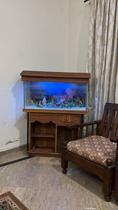 aquarium for sale