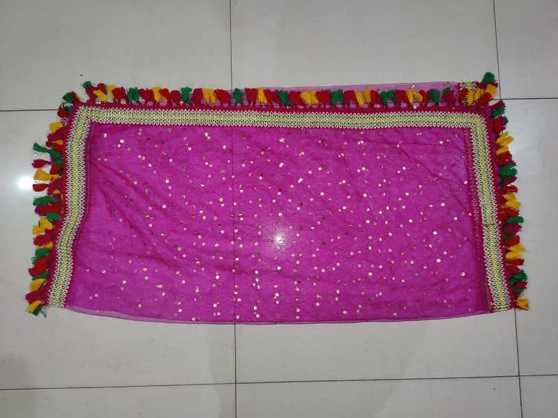 Net Dupatta with lace 2