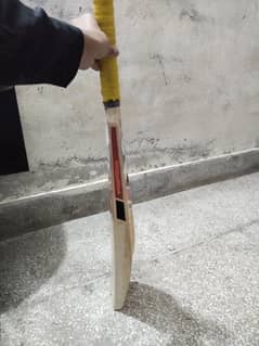 Cricket hard ball bat condition 10by10