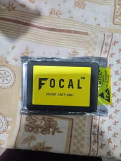 FOCAL SSD 256GB. .