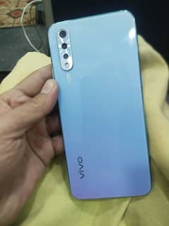 vivo