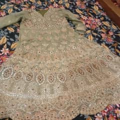 light green ( pishta) embroidery suit