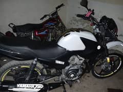 Yamaha YBR 125G 2022 Model