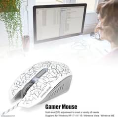 mouse