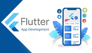 Flutter Developer