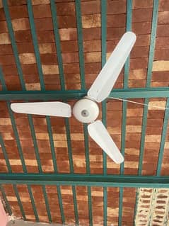 ceiling fan