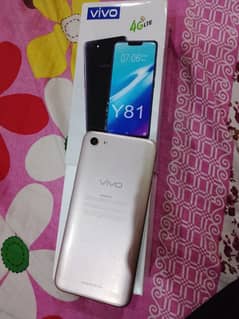 vivo y81