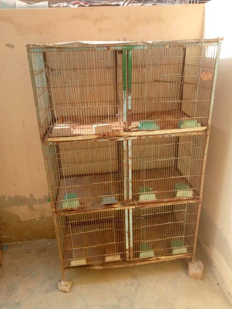 cage for sale 1'5 by 1'5 6 portion cage condition 10 by 7 0