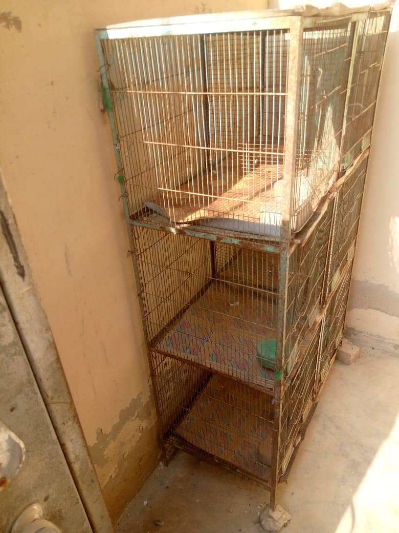 cage for sale 1'5 by 1'5 6 portion cage condition 10 by 7 1