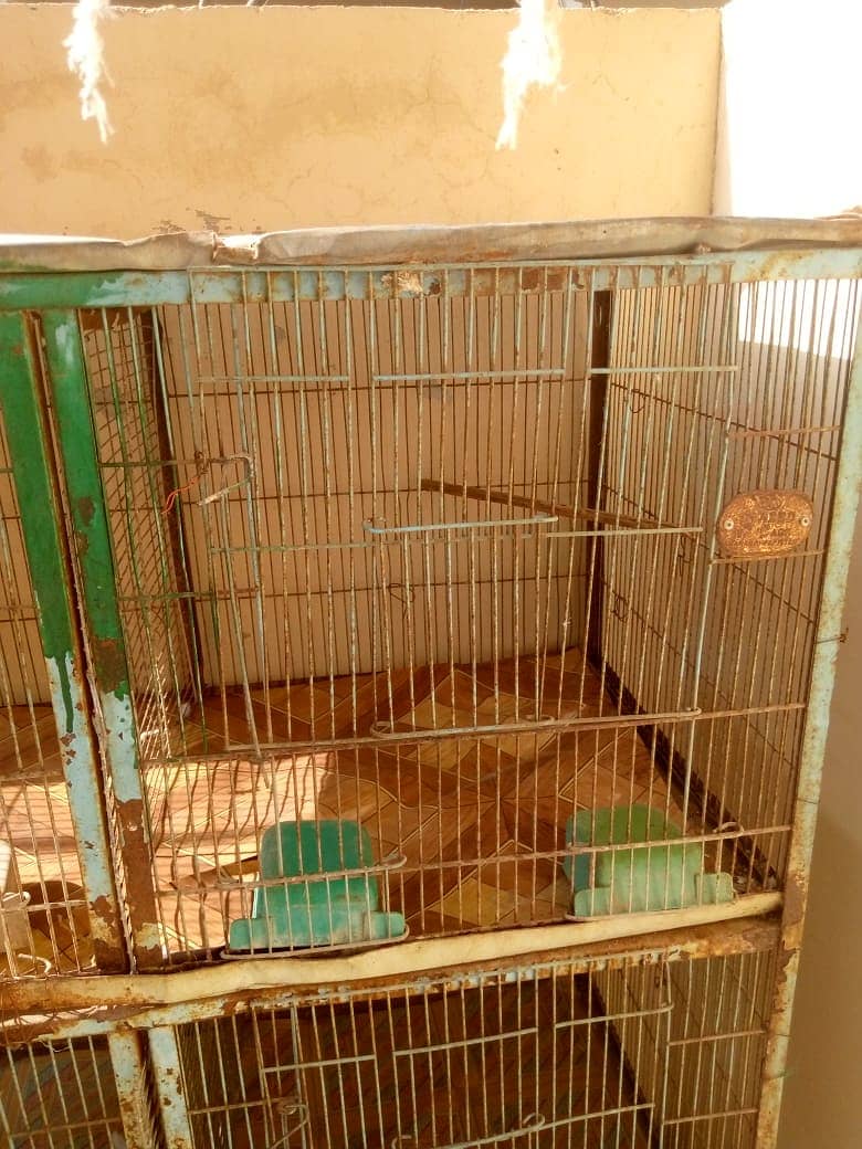 cage for sale 1'5 by 1'5 6 portion cage condition 10 by 7 2