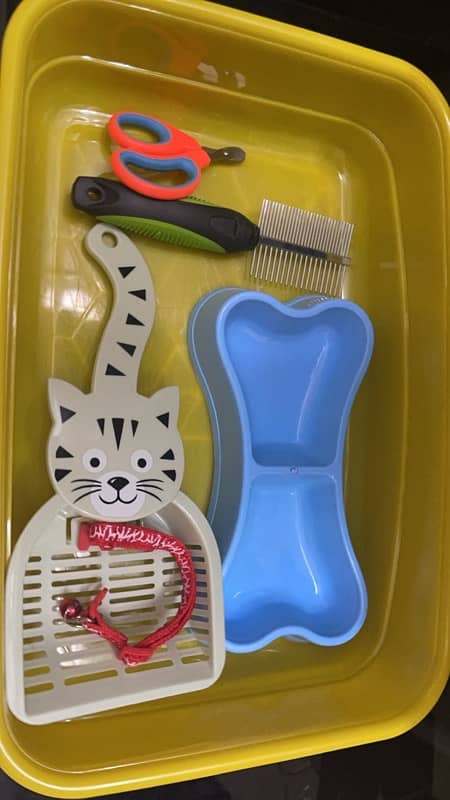 cat / pet accessories 4