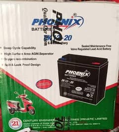 electric bike battery