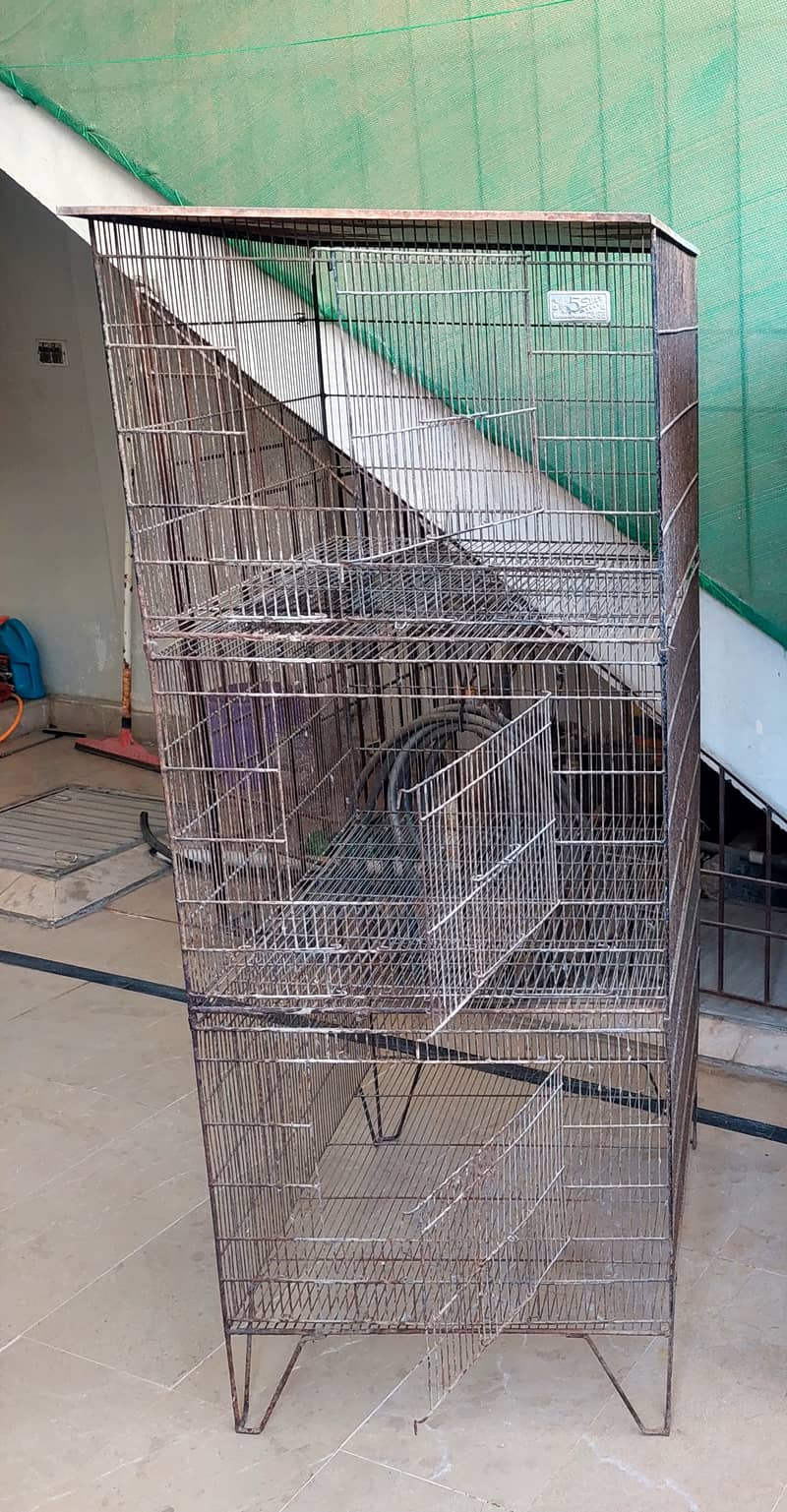 Hen & Birds CAGE & complete setup 0