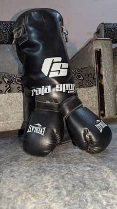 Boxing bag new 10/10 with gloves