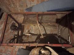 Birds Cage, pinjra, chozoun ka pinjra, Parrot cage