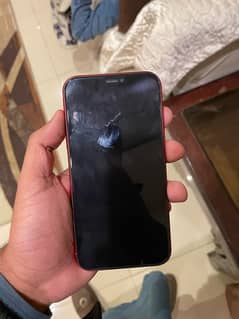 iPhone 11 for sale