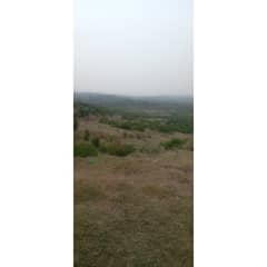 50 Kanal Land For Sale In Shah Allah Ditta Islamabad ,Road Access DEMAND PER KANAL 1.50 CRORE