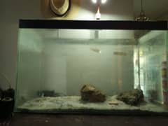 aquarium fish tank for sale