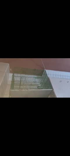 Cages for Lovebirds and Parrots.