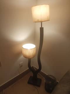 Lamp with two Bulbs