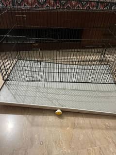 dog cage