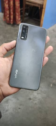 vivo