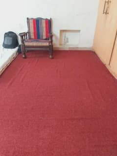 Carpets in Good Condition