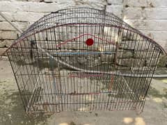 birds cage