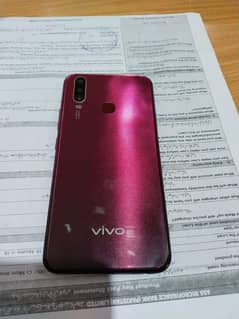 vivo