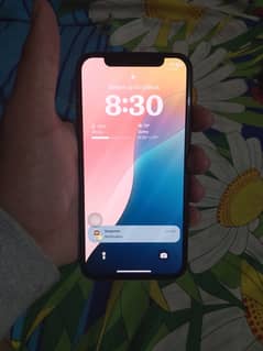 iphone xs factory unlock