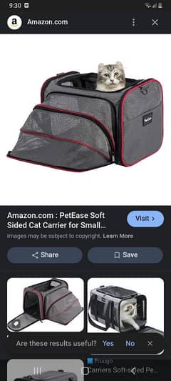 petfit for cats and dogs