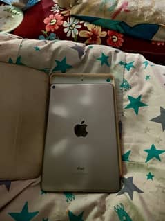 iPad mini 5 ha 256gb box charger sath ha